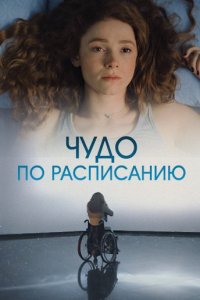 Чудо по расписанию Чудо по расписанию